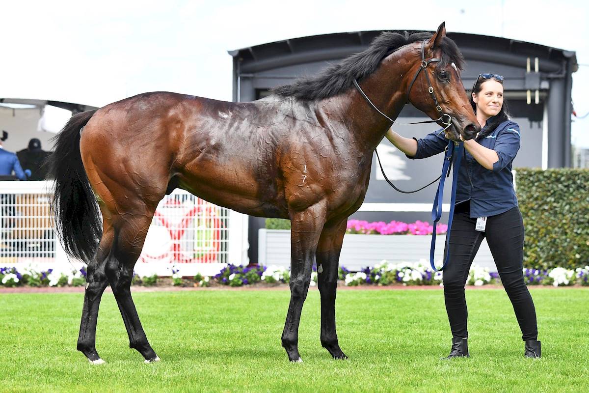 Portland Sky & Tahnee after winning the Oakleigh Plate